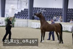 25R13_08497 thumbnail