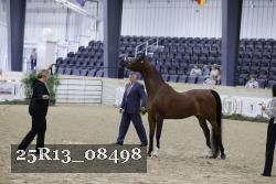 25R13_08498 thumbnail