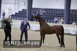 25R13_08499 thumbnail
