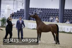 25R13_08500 thumbnail
