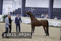 25R13_08501 thumbnail