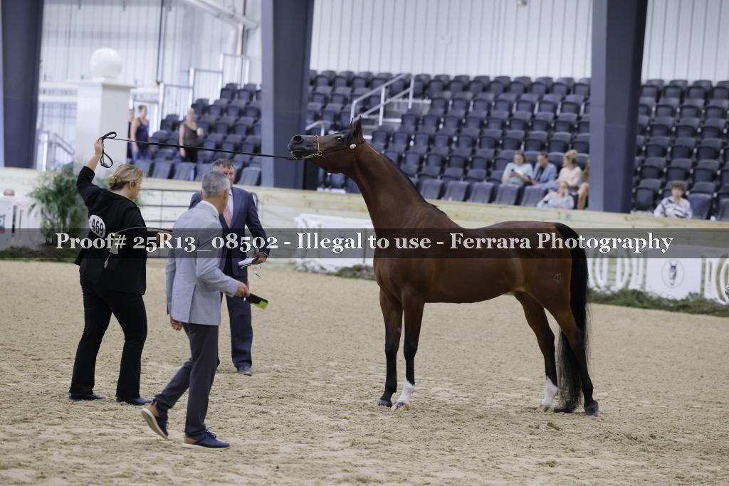 Proof Number 25R13_08502