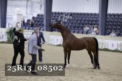 25R13_08502 thumbnail
