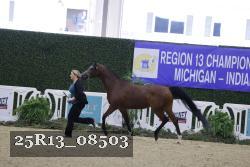 25R13_08503 thumbnail