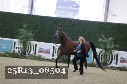 25R13_08504 thumbnail