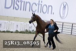 25R13_08505 thumbnail