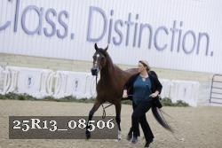 25R13_08506 thumbnail