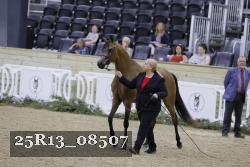 25R13_08507 thumbnail