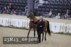 25R13_08508 thumbnail