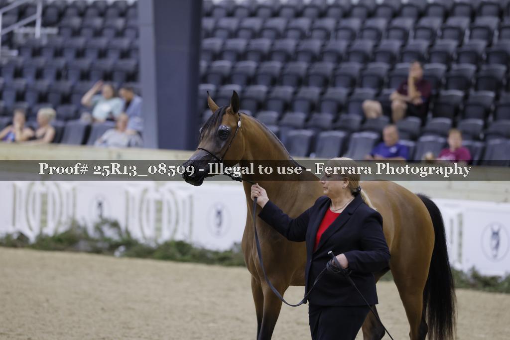 Proof Number 25R13_08509