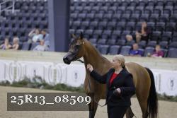 25R13_08509 thumbnail