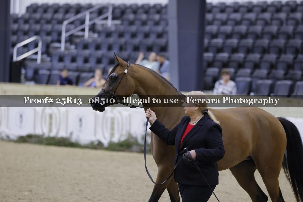 Proof Number 25R13_08510