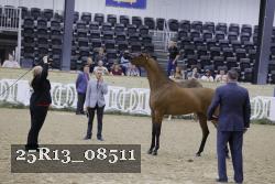 25R13_08511 thumbnail