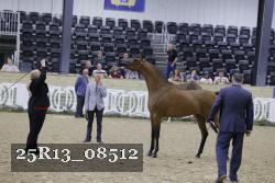 25R13_08512 thumbnail