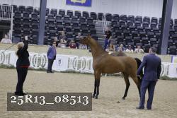 25R13_08513 thumbnail