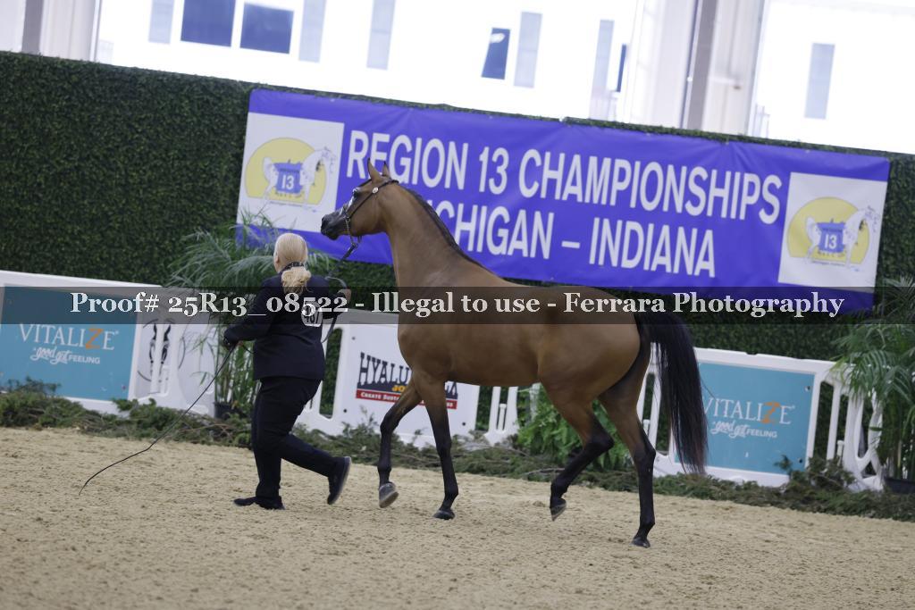 Proof Number 25R13_08522