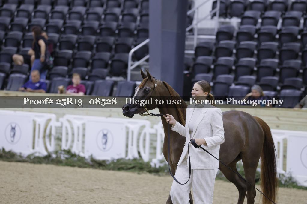 Proof Number 25R13_08528