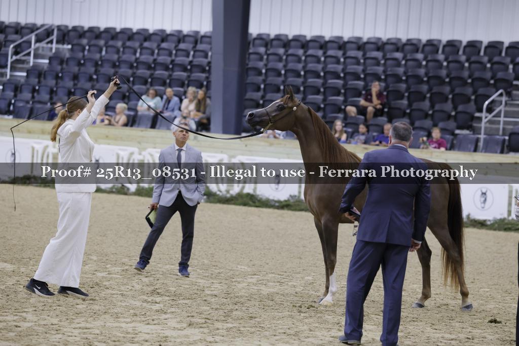 Proof Number 25R13_08531
