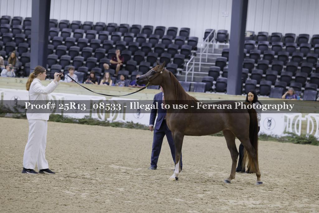 Proof Number 25R13_08533