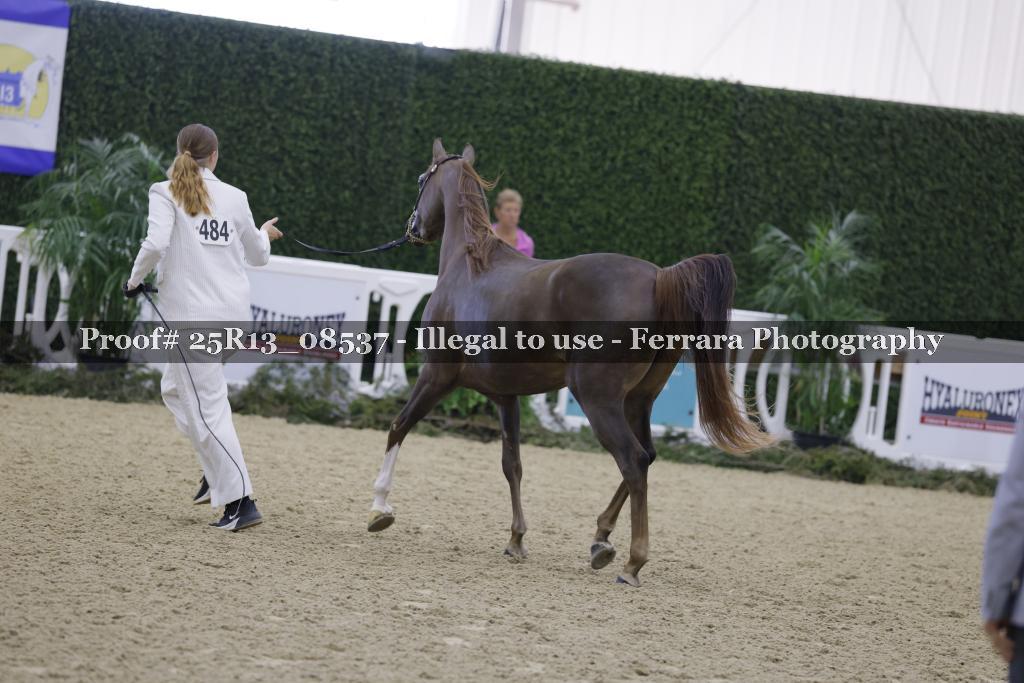 Proof Number 25R13_08537