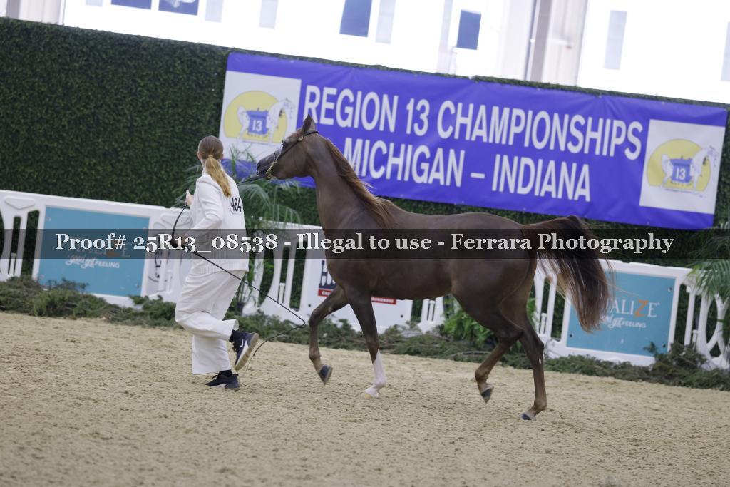 Proof Number 25R13_08538
