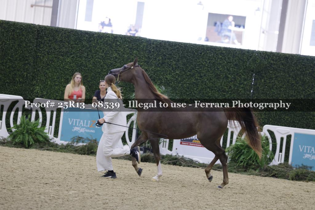 Proof Number 25R13_08539