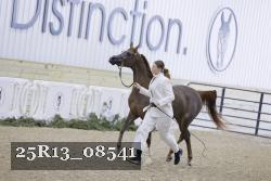 25R13_08541 thumbnail
