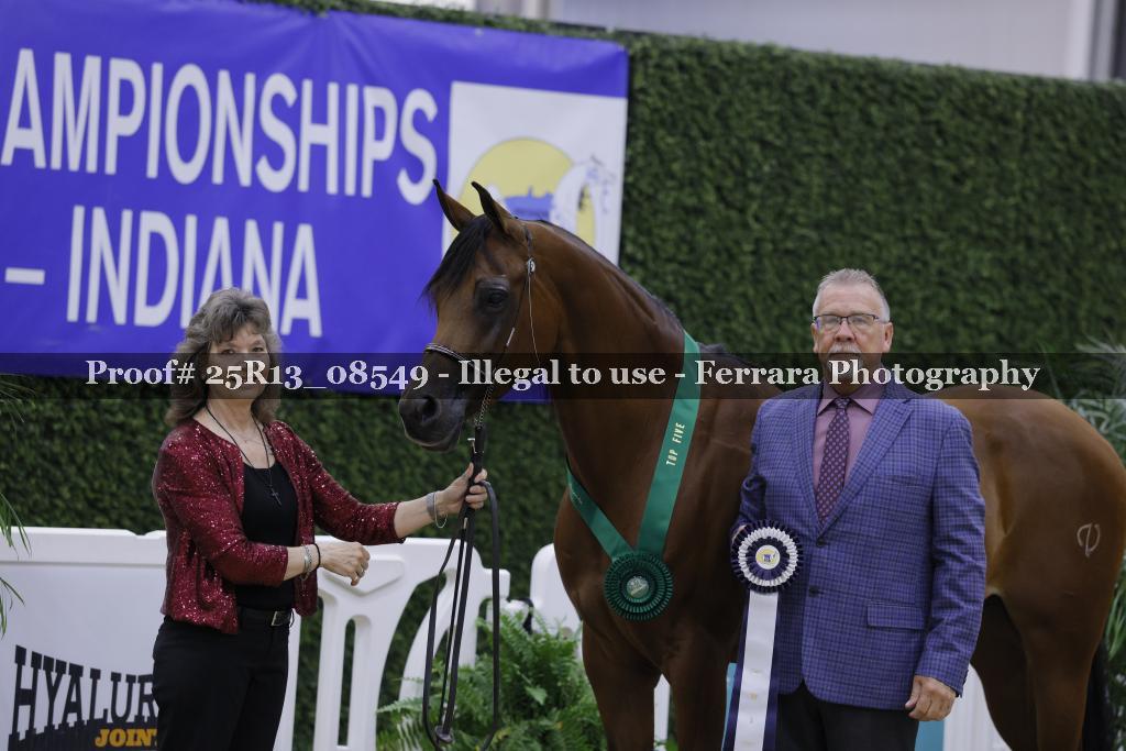 Proof Number 25R13_08549