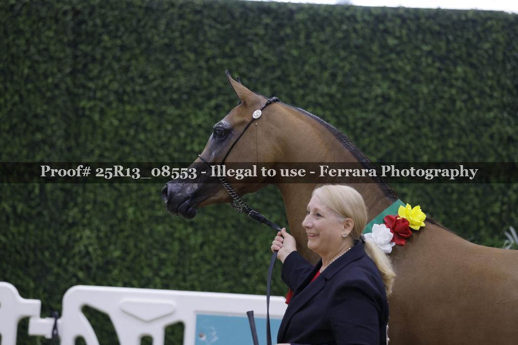 Proof Number 25R13_08553