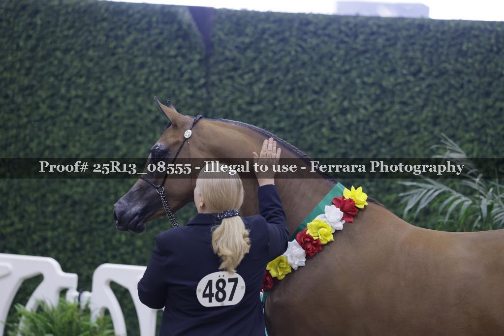 Proof Number 25R13_08555