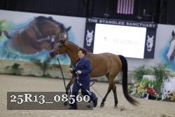 25R13_08560 thumbnail