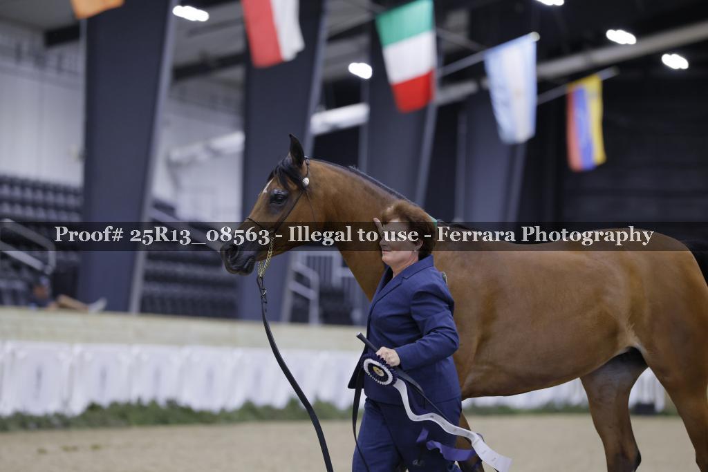 Proof Number 25R13_08563