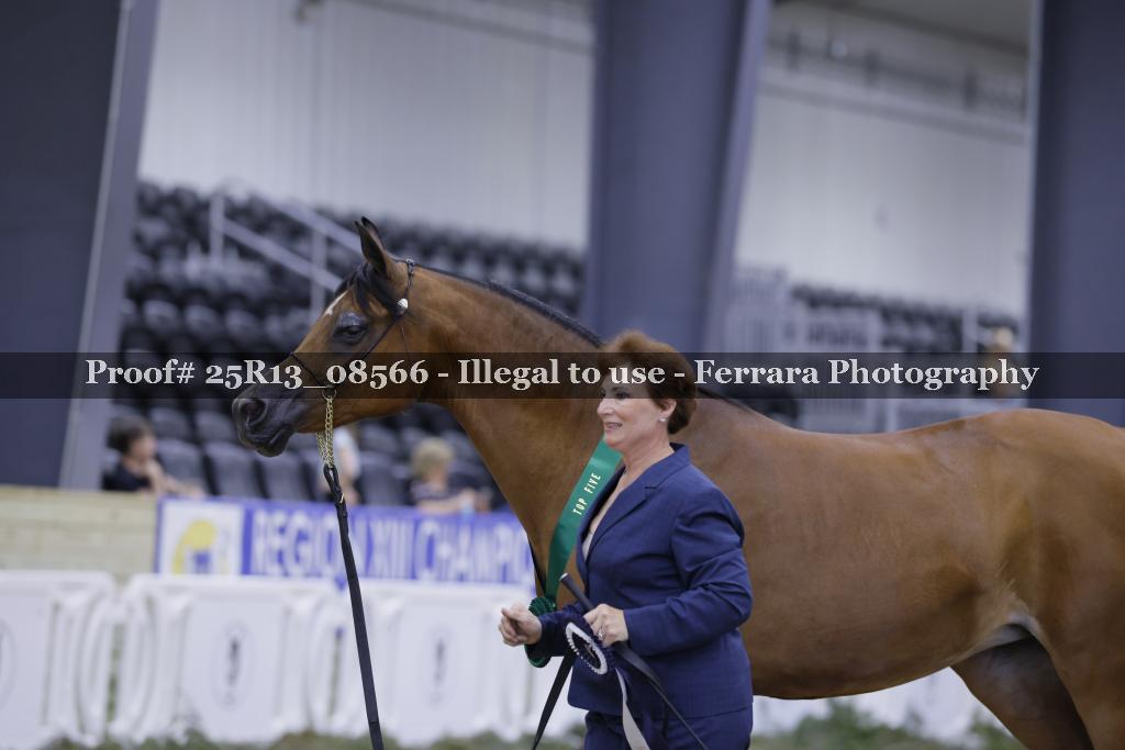 Proof Number 25R13_08566