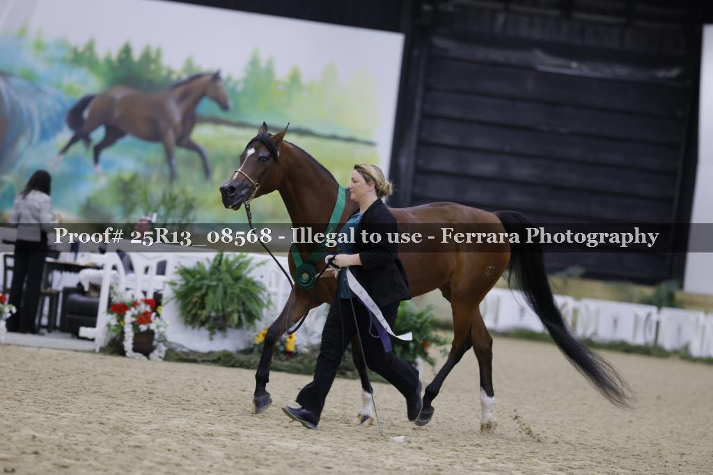 Proof Number 25R13_08568