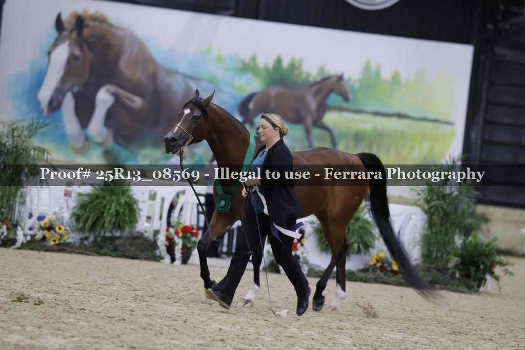 Proof Number 25R13_08569