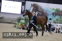 25R13_08570 thumbnail