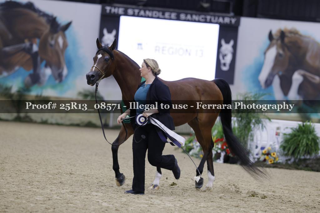 Proof Number 25R13_08571