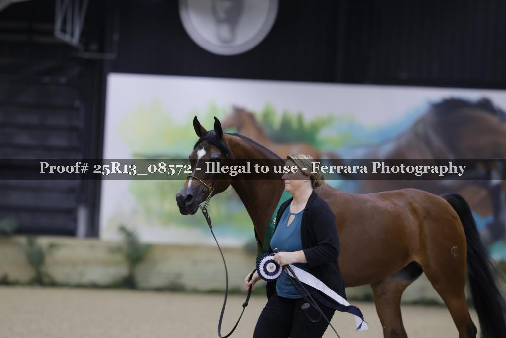 Proof Number 25R13_08572