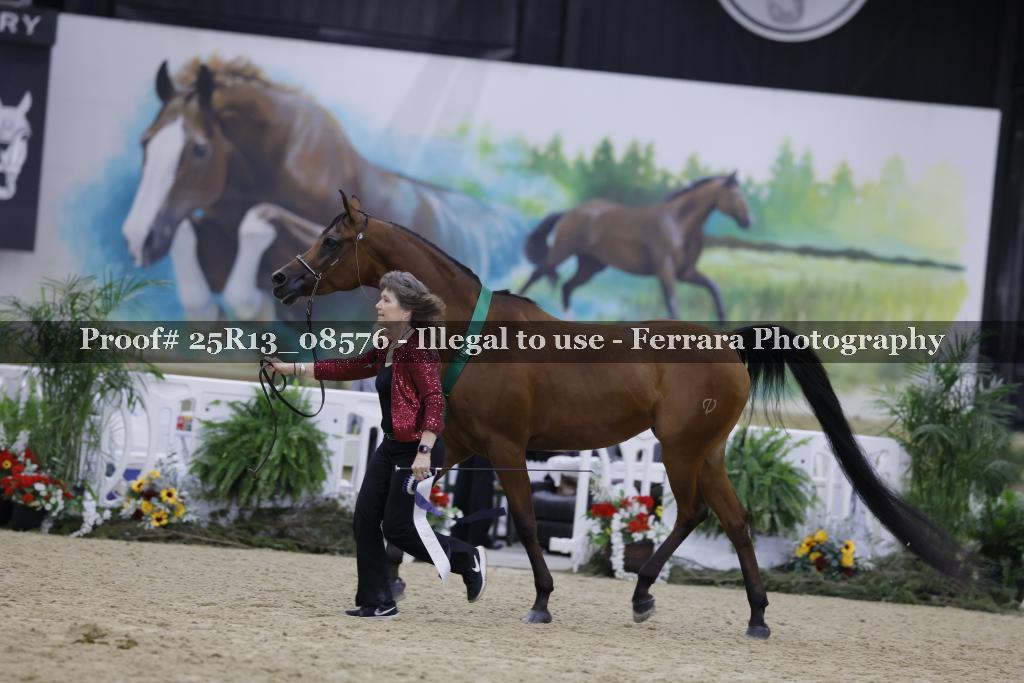 Proof Number 25R13_08576