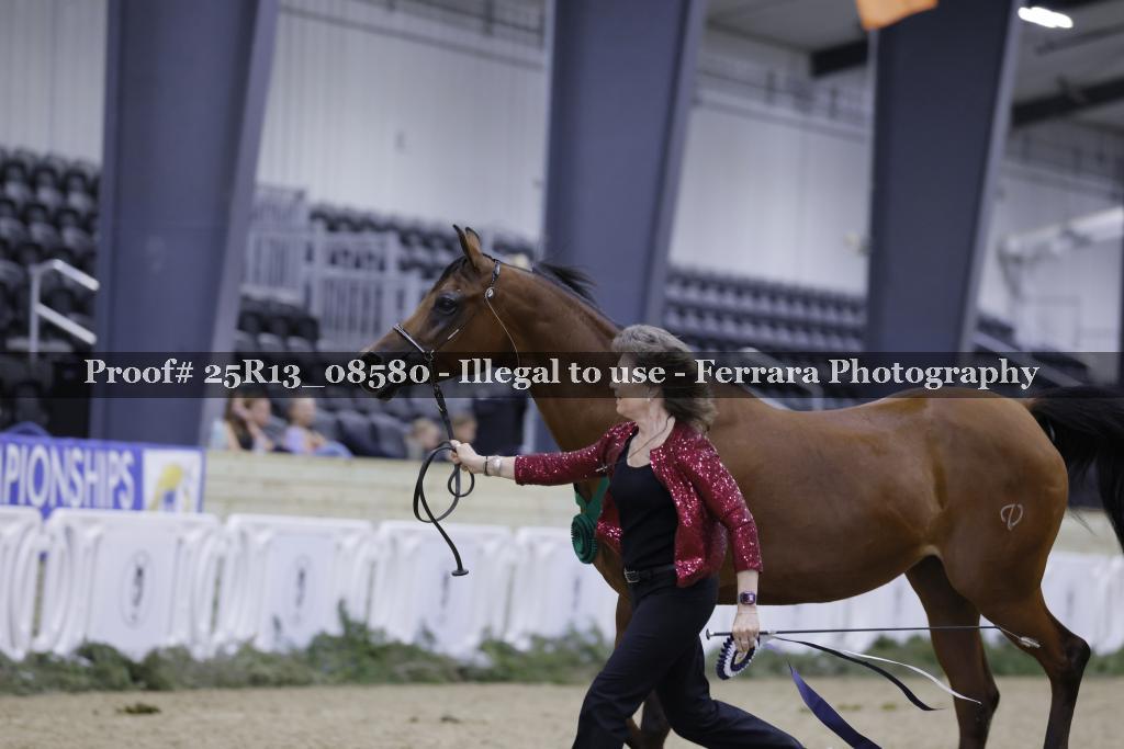 Proof Number 25R13_08580