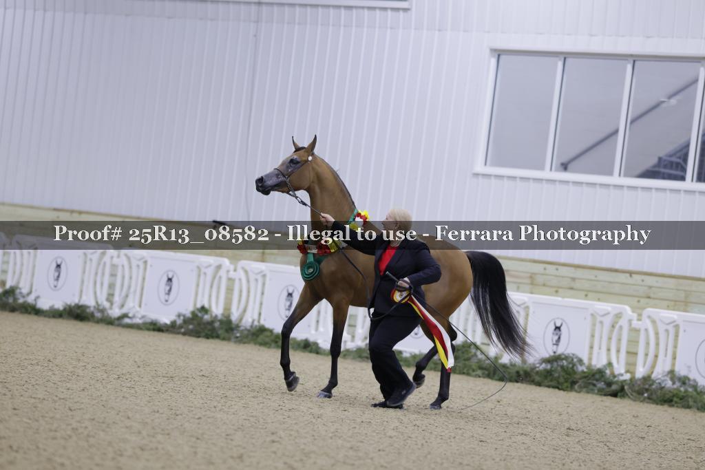 Proof Number 25R13_08582
