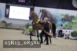 25R13_08586 thumbnail