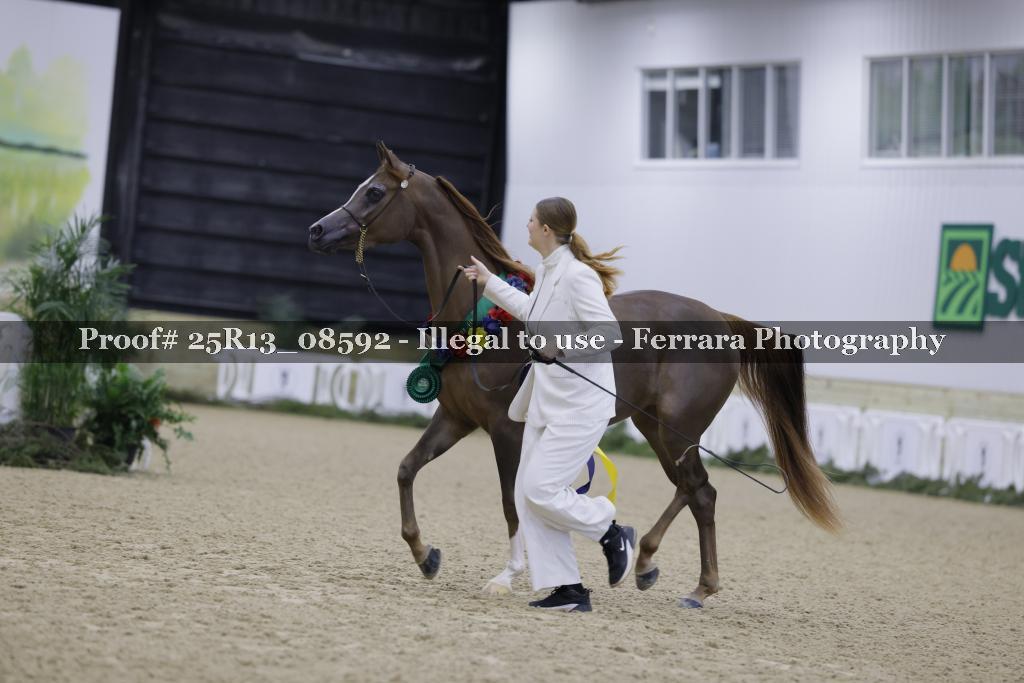 Proof Number 25R13_08592