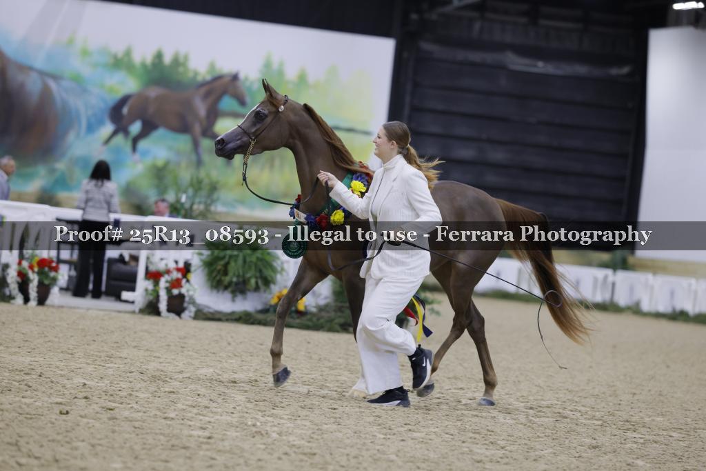 Proof Number 25R13_08593