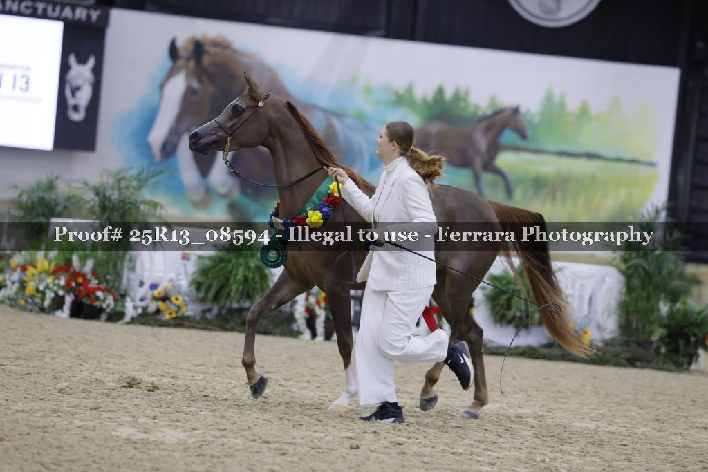 Proof Number 25R13_08594