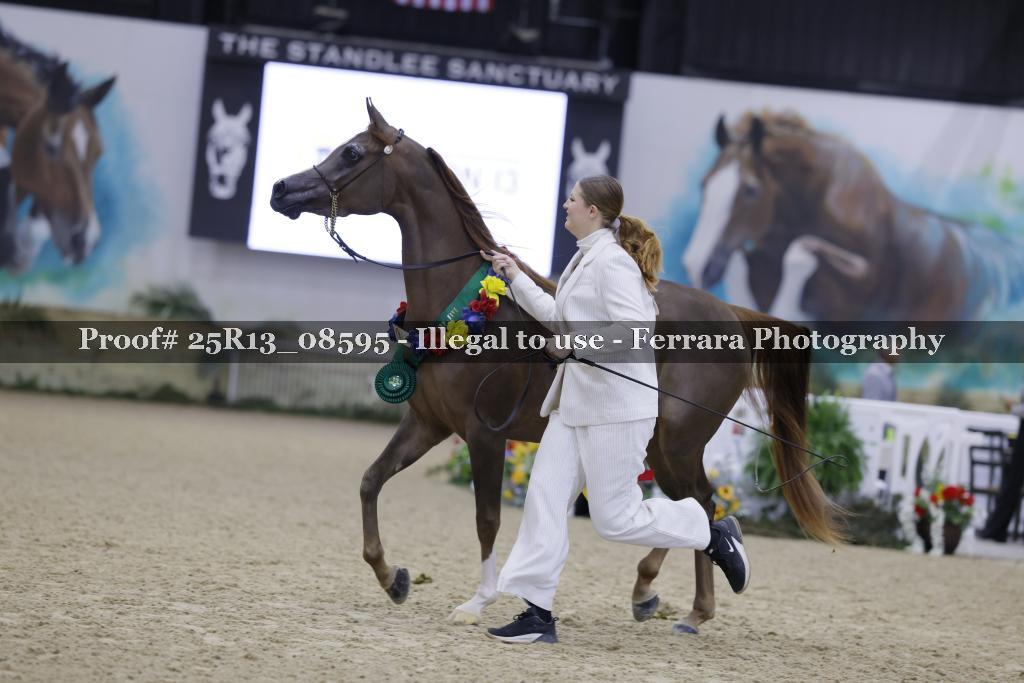 Proof Number 25R13_08595