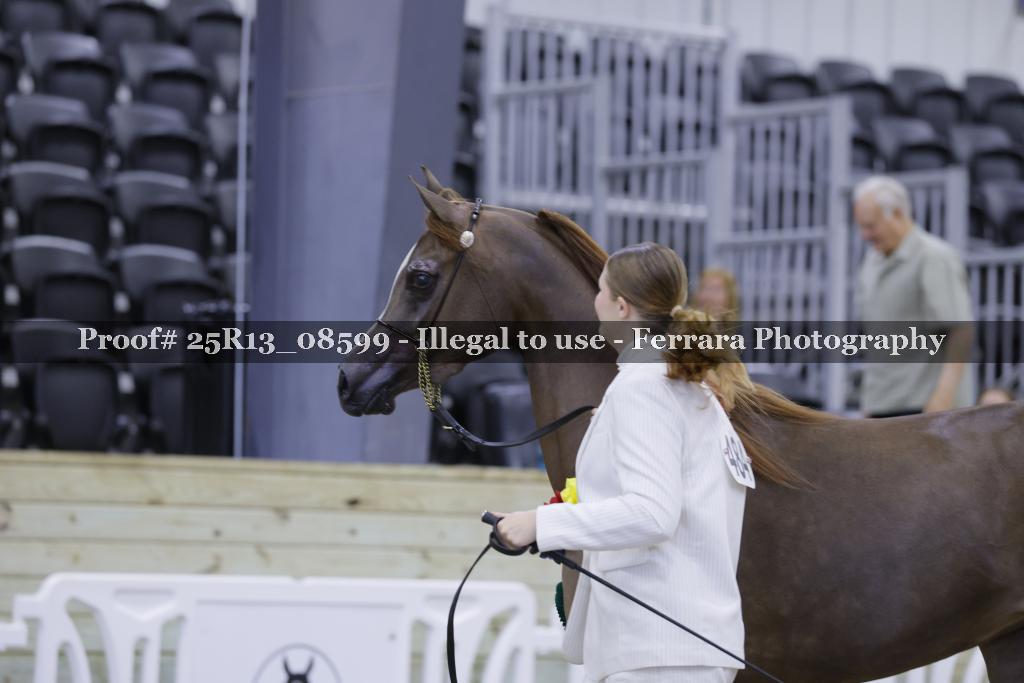 Proof Number 25R13_08599