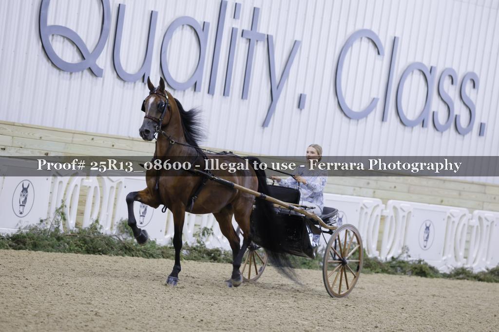 Proof Number 25R13_08600