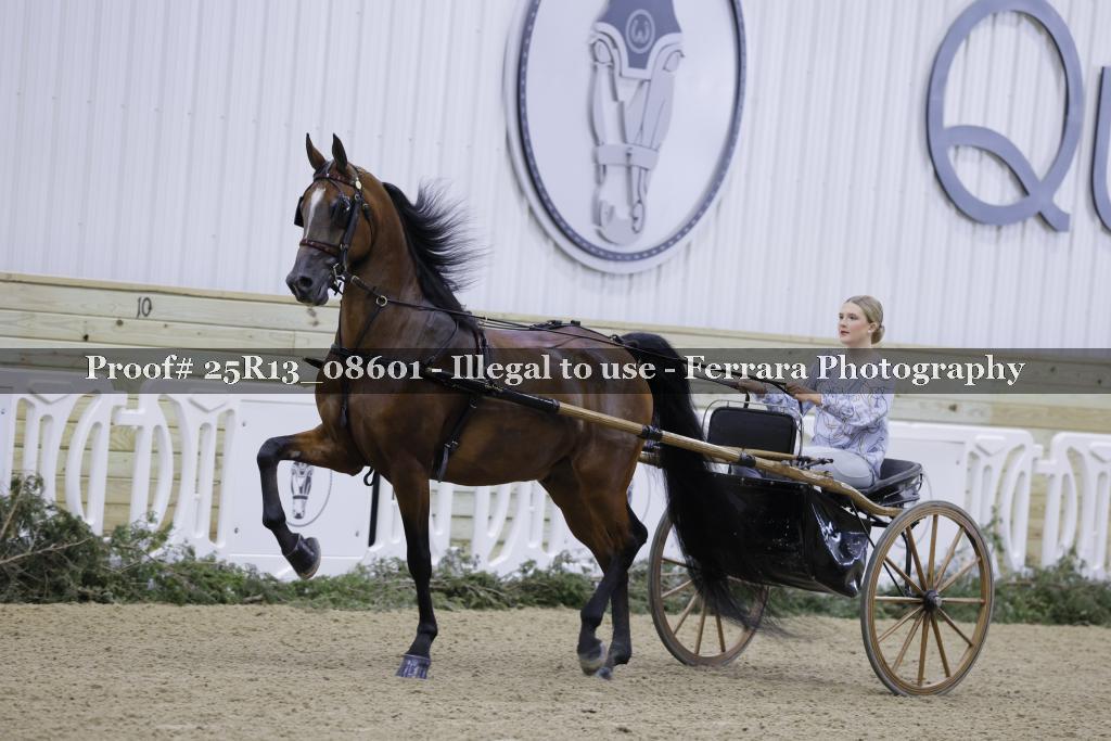 Proof Number 25R13_08601
