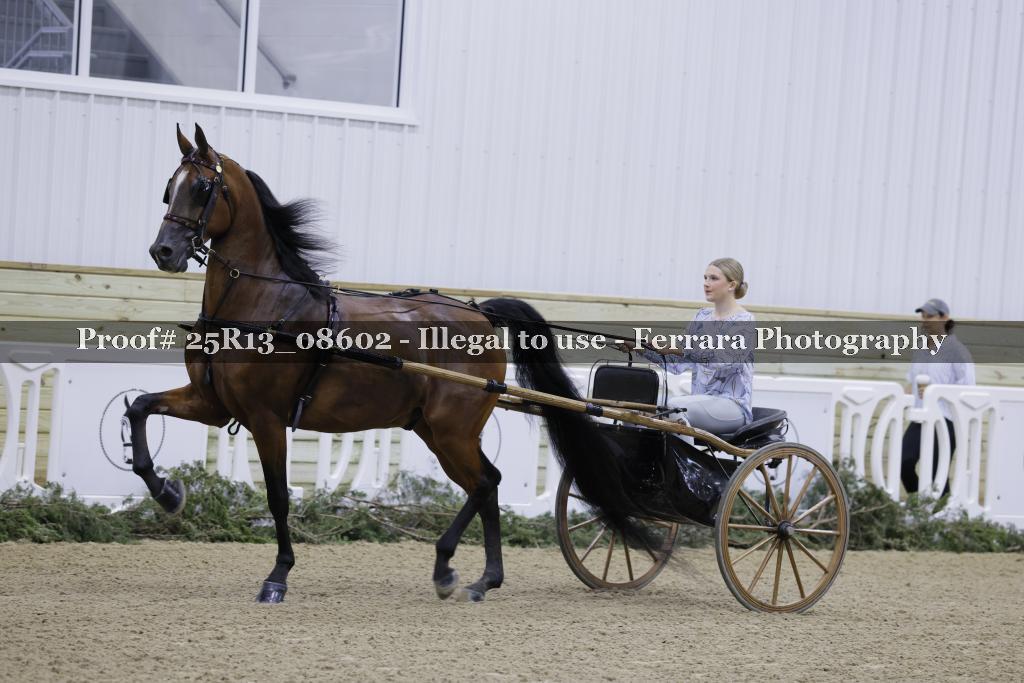 Proof Number 25R13_08602